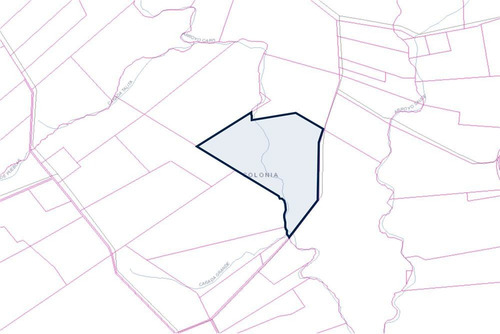 Campo - Venta- Tarariras, Colonia
