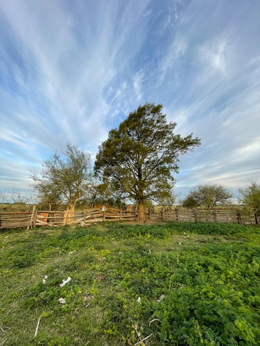 Campo En Venta, Ranchos.