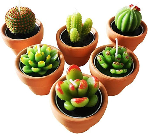 Velas De Té De Cactus Con Pequeño Soporte De Macetas
