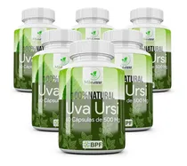 Comprar Uva Ursi 100% Pura E Natural  Cáps 500mg 6 Potes Uva-de-urso