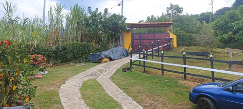 Se Vende Una Finca En Titiribi Antioquia 