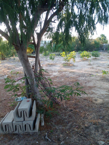 Terreno Vila Dalvina Ii Remanso Bahia