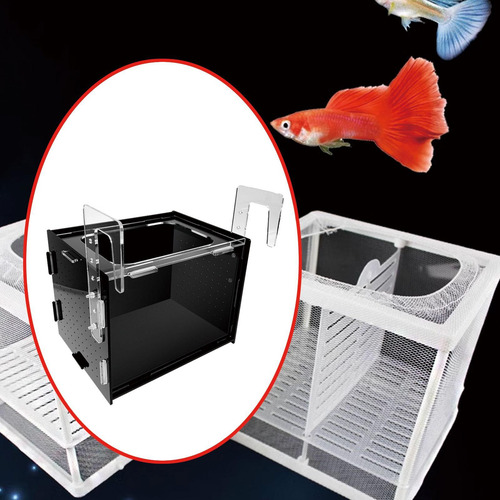 Caja De De Peces De Acuario Caja De Aislamiento 30x20x20cm