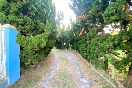 Imagem 2 de 30 de Casa À Venda Em Xangri-lá - Ca01479 - 69891076