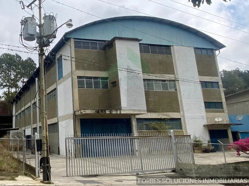 Imagen 13 de 14 de Amplio Edificio Industrial De 3 Pisos, Ascensor De Carga Capacidad 1.200 Kilos En Los Teques 04143105450