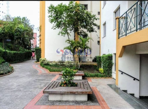 Imagem 9 de 15 de Excelente Aparatamento Ótima Localização. - Mr48882