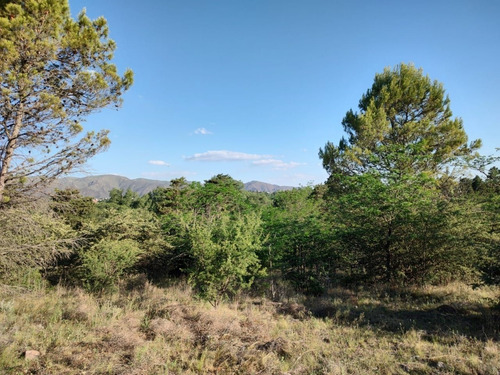 Imagen 12 de 30 de Terrenos En Venta En Villa Giardino