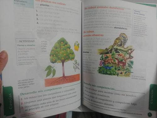 Biareas 1 Sociales - Ciencias De Norma , 2 Libros En 1 (Usado)