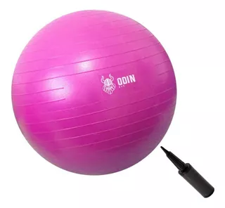 Bola Yoga Suiça Pilates Abdominal Gym Ball 55cm Bomba Grátis Cor Rosa