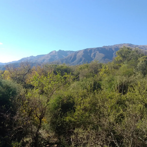 Campo 35 Hectáreas En Los Hornillos, Traslasierra (ref 182)