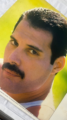 Lp Vinil Freddie Mercury Mr Bad Guy 1895 - Queen Edição Limitada (Usado)