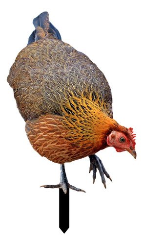 Letrero De Gallina Para Jardín, Escultura Realista De A