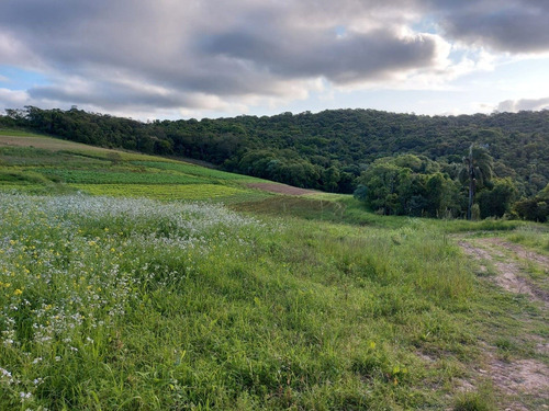 Imagem 5 de 13 de K.a Terreno Em Sp - Venha Conferir Preços