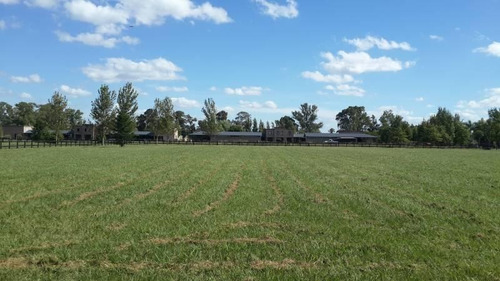 Imagen 8 de 29 de Oportunidad Venta De Amplio Lote En La Mejor Zona De Polo - Caspian Polo Chacras