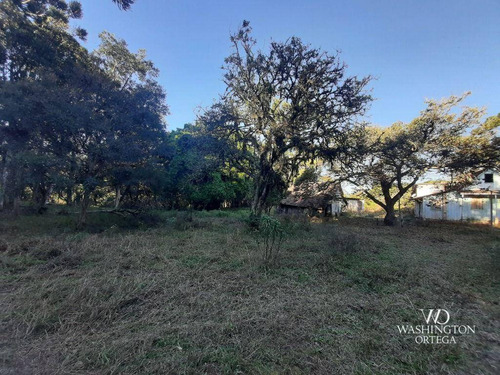 Imagem 9 de 16 de Chácara À Venda, 31000 M² Por R$ 600.000,00 - Cachoeira - São José Dos Pinhais/pr - Ch0066