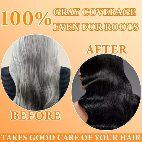, Champú Para Teñir El Cabello 3 En 1