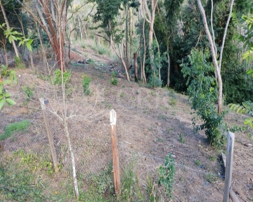 Imagem 6 de 6 de Sítio Escriturado 32.000 M2 No Bairro Piedade Caçapava São Paulo - Aceita Financiamento - St00023 - 70152329