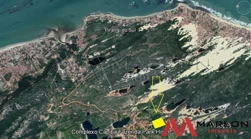 Imagem 2 de 8 de Vtp02275 Terreno Nisia Floresta, Com 39.346m2