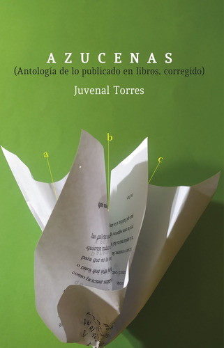 Azucenas, de Juvenal Torres. Editorial Yaugurú, tapa blanda, edición 1 en español