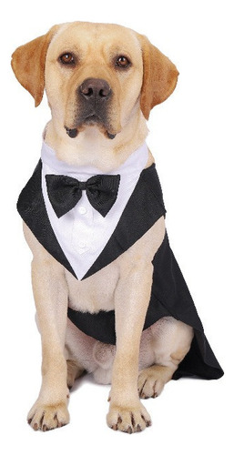 Traje De Boda/vestir Para Perro Con Pajarita