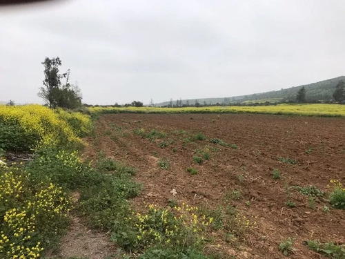 Hermosa Y Bien Ubicada Parcela En Los Laureles Limache