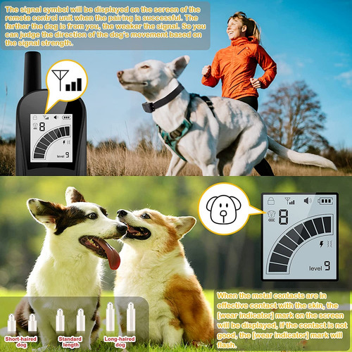 Collar De Entrenamiento Perros Lcd Grande E Impermeable Ip67