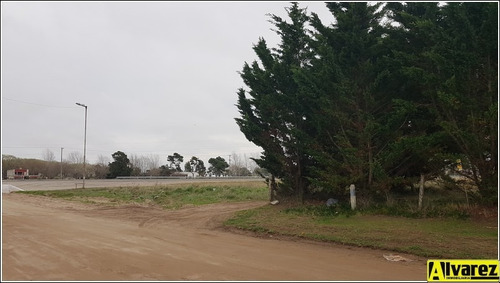 Imagen 3 de 14 de Lote De 5500 M2 A Metros De La Ruta Interbalnearia