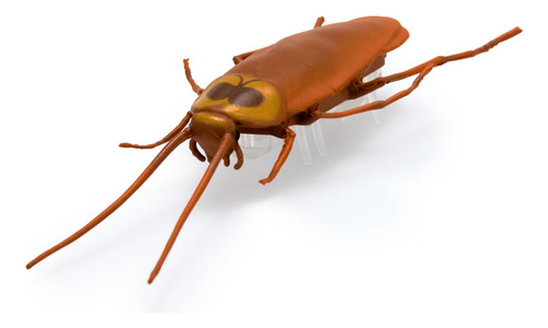 Hex Bots Nano Real Bugs, 5 Insectos Falsos, Mini Robots Nano Bugs Multicolor