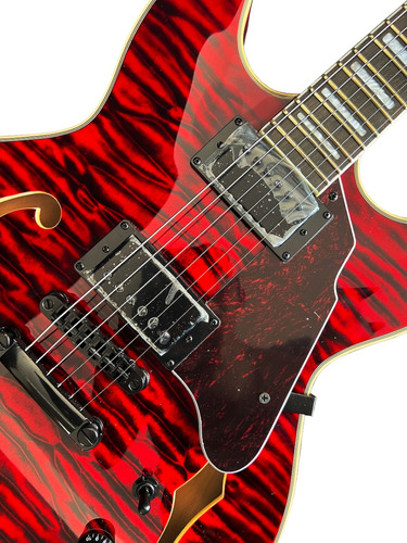 Guitarra Waldman Gho220q Rd C Capa Lx,cb, Corr, 02 Palh