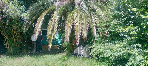 Venta De Terreno En Villa Elisa
