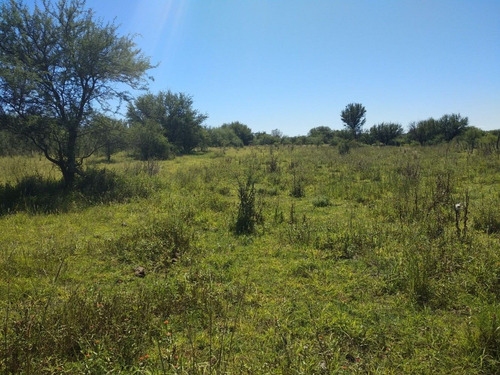 Imagen 4 de 7 de Campo - Lote Turistico - Santa Rosa De Conlara , San Luis