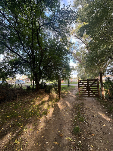 Terreno - Villa Parque Sicardi