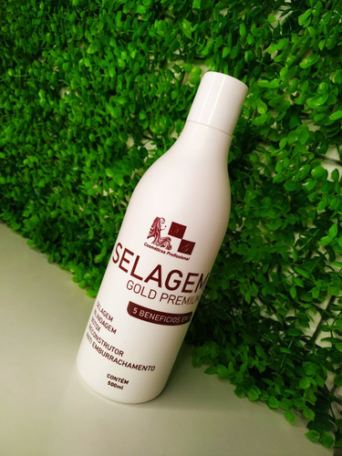 Selagem Térmica Botox Reconstrução Blindagem 500ml 5em1