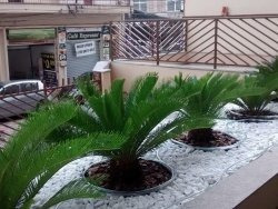 Imagem 15 de 21 de Apartamento À Venda Em Cambuí - Ap000154