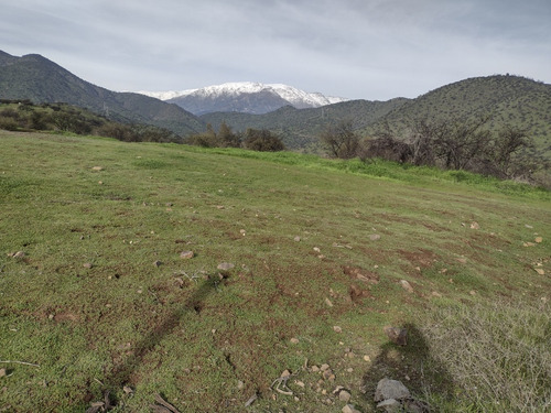 Terreno De 4 Ha Con Luz ,despejado, Excelente Ubicaci