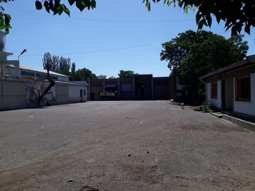 Vendo Bodega Con Viñedos Y Elaboración Propia