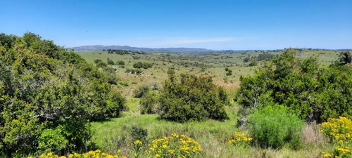 Quinta En Venta - Monoambiente En Maldonado (ref: Bpv-8881)