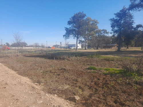 Terreno En Venta En San Vicente