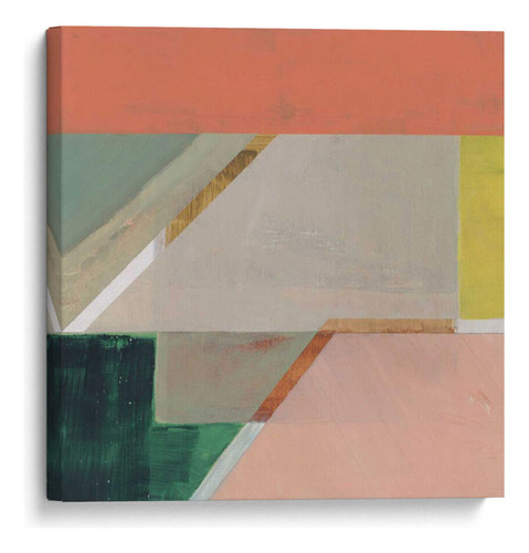 Canvas Lab Cuadro Cultivo Rosa Iv 70x70, Thomas Brown