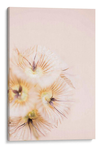 Canvas Lab Cuadro Blonde Rubia Iii 40x60, Renee W. Stramel