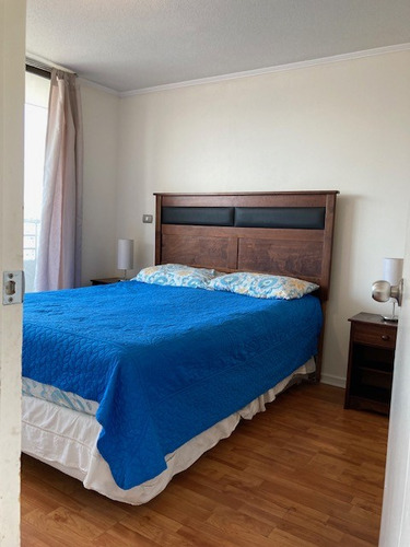 Departamento 1 Dormitorio En Suite Con Gran Terraza