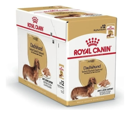 Royal Canin Pouch Dachshund, Salchicha X 85 Gs X 12 Unidades