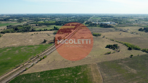 Imagen 9 de 21 de Campo - Chacra De 13,7 Has | Gowland | Mercedes