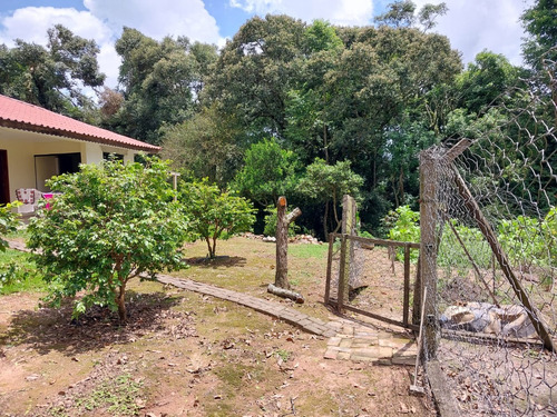 Chácara Na Lapa (feixo), Próximo A Mariental, Com 44.000 M2