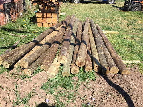 Imagen 7 de 7 de Postes Curado 3mt 12a15 Madera Tratada Eucalipto Piso Techo