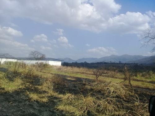 Imagen 14 de 17 de Se Vende Finca Con Bienhechuria Bejuma Atth75 04125067379 04244900499
