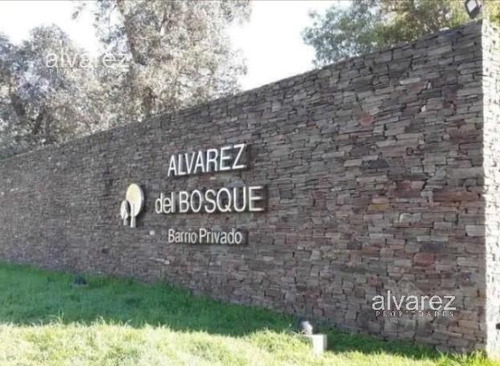 Lote Alvarez Del Bosque