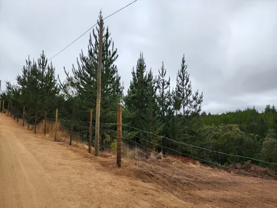 Agrícola en venta