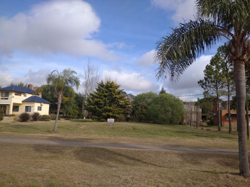 Imagen 11 de 12 de Venta Lote Solares Carcaraña 1
