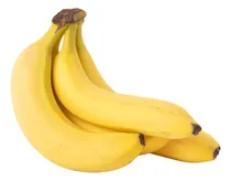 Comprar 5 Mudas Banana Caturra Nanica Ou Grand Nine Brs Embrapa